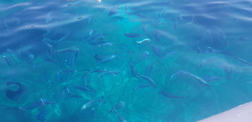 Appartamento Bluewater La Maddalena  Dış mekan fotoğraf